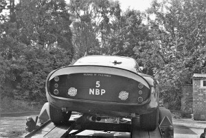 Black and White Negative Strips: The Roger Stowers Collection