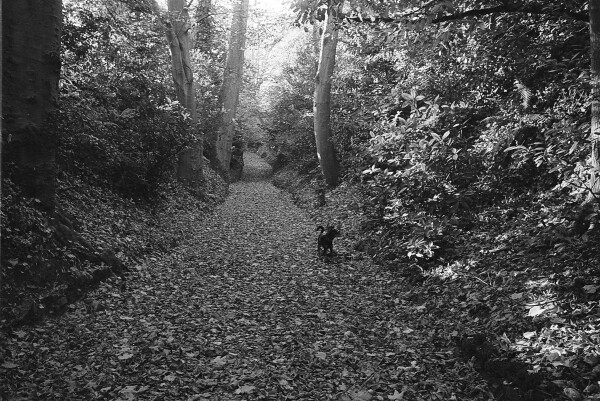 image AMHT-2024-040-221-5