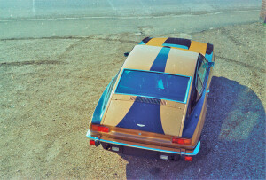 Colour Negative Strips: The Roger Stowers Collection