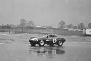 Black and White Negative Strips: The Roger Stowers Collection