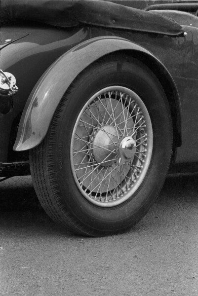 image AMHT-2024-040-145-3