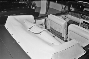 Black and White Negative Strips: The Roger Stowers Collection