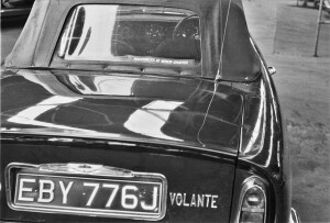 Black and White Negative Strips: The Roger Stowers Collection