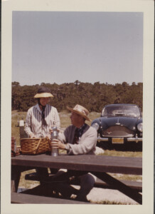 Photograph of a DB Mark III at picnic