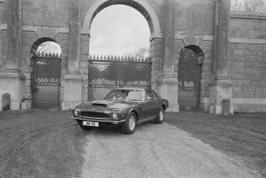 Black and White Negative Strips: The Roger Stowers Collection