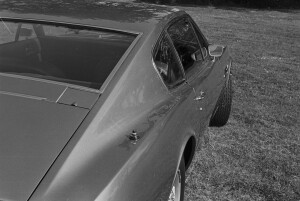 Black and White Negative Strips: The Roger Stowers Collection