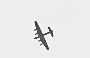 Black and White Negative Strips: The Roger Stowers Collection