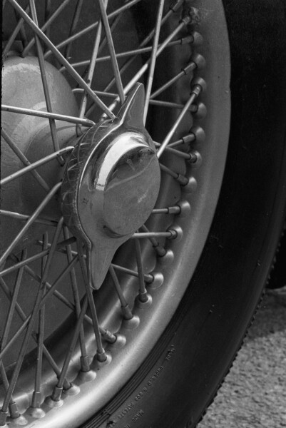 image AMHT-2024-040-145-6