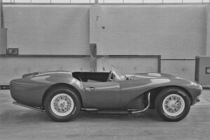 Black and White Negative Strips: The Roger Stowers Collection