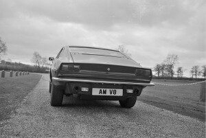 Black and White Negative Strips: The Roger Stowers Collection